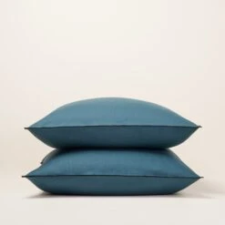 Lot De 2 Taies D'oreiller CARLINA Pétrole Et Bourdon Noir